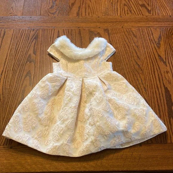 Janie and Jack | Dresses | Pink And Gold Janie And Jack 2t Fur Collar Dress  | Poshmark